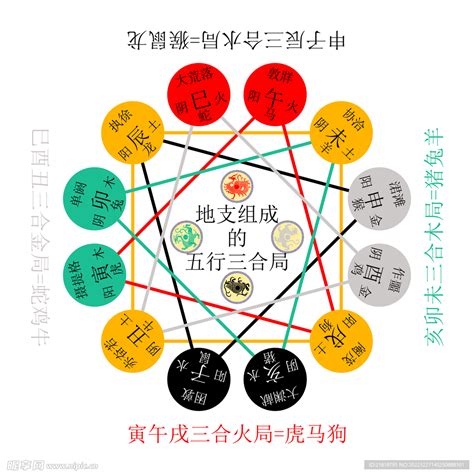 巳卯合|十二地支类象详解 – 十二地支阴阳五行属性